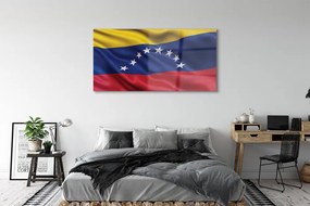 Obraz plexi Vlajka venezuely 140x70 cm