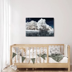 Obraz - Snehobiele stromy (90x60 cm)