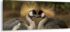 Obraz vtákov (120x50 cm)