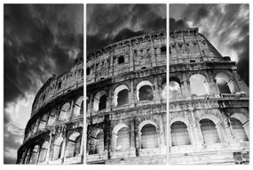 Coloseum - obraz