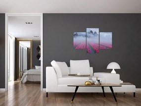 Obraz - Krajina s tulipánovými poľami (90x60 cm)