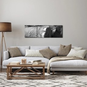 Obraz - Slonia noha (s hodinami) (90x30 cm)