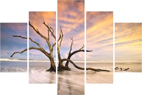 Obraz stromu v oceáne (150x105 cm)