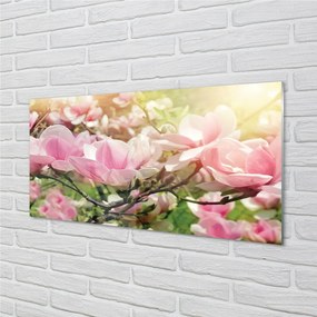 Sklenený obraz kvety 125x50 cm
