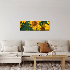 Obraz žltých kvetov (s hodinami) (90x30 cm)