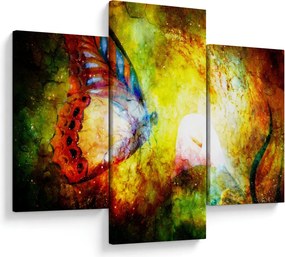Obraz - Kozmický motýľ (90x60 cm)