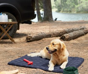 Skladacia miska pre psy