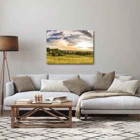 Obraz krajiny (70x50 cm)