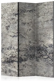 Artgeist Paraván - Grey Lady [Room Dividers]