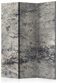 Artgeist Paraván - Grey Lady [Room Dividers]
