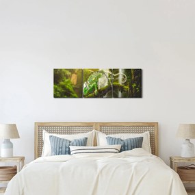 Obraz chameleóna (s hodinami) (90x30 cm)