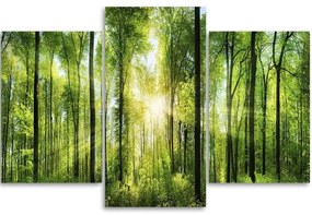 Gario Obraz na plátne Slnečné lúče v zelenom lese - 3 dielny Rozmery: 150 x 100 cm