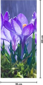 Fototapeta na dvere - Kvety v daždi (95x205cm)