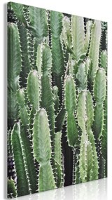 Artgeist Obraz - Cactus Garden (1 Part) Vertical Veľkosť: 40x60, Verzia: Standard