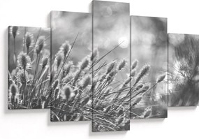 Obraz - Béžová soft grass N⁰1 (150x105 cm)