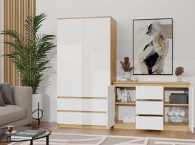 Komoda Malwa 2D3S 120 cm dub artisan/bílá