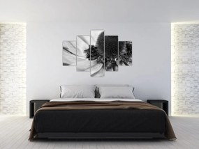 Obraz - Kvetina v čiernobielej (150x105 cm)