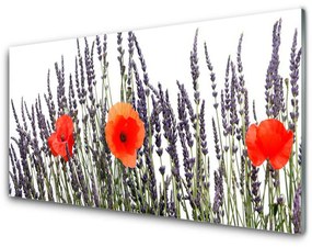 Skleneny obraz Kvety maky pole trávy 125x50 cm