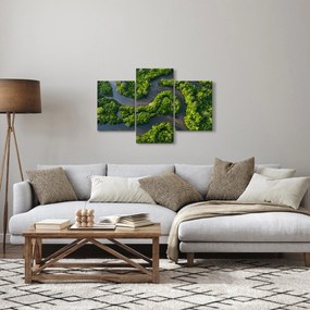 Obraz - Lesná krajina s riekou (90x60 cm)