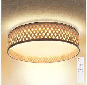 Brilagi - LED Stmievateľné stropné svietidlo CAMILA LED/48W/230V 3000-6500K + DO WO800-OEM12