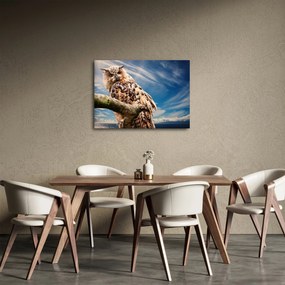 Obraz sovy (70x50 cm)