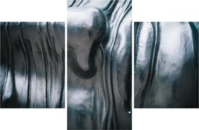 Obraz - Tvár z ocele (90x60 cm)
