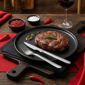 Toro Sada steakových príborov Ibiza, 12 ks