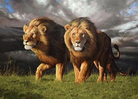 Puzzle Blížiaca sa búrka 1000 dielikov