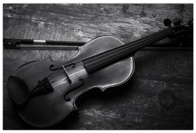 Obraz - Viola (90x60 cm)