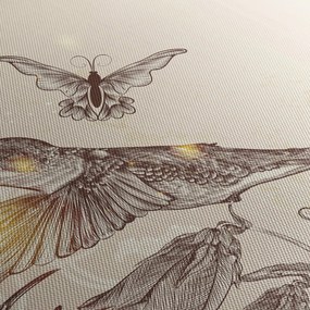 Obraz - Kolibríky (120x50 cm)
