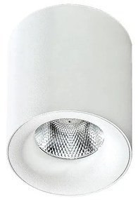Azzardo AZ2845 - LED Stropné svietidlo MANE 1xLED/10W/230V