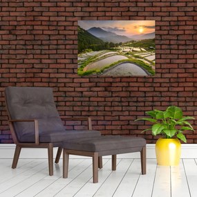 Obraz - Ryžové terasy (70x50 cm)