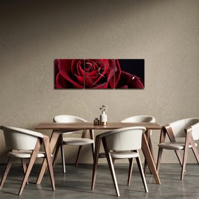 Obraz - Červená ruža (s hodinami) (90x30 cm)