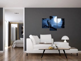 Obraz - Nočná sova (90x60 cm)