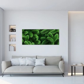 Obraz - Vetvičky ihličnanu (120x50 cm)
