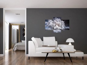 Obraz - Snehobiely strom (90x60 cm)