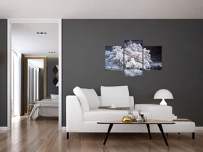 Obraz - Snehobiely strom (90x60 cm)