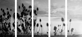 5-dielny obraz steblá trávy na poli v čiernobielom prevedení - 200x100