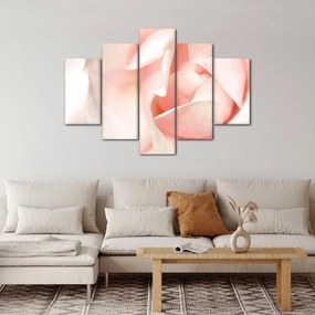 Obraz - Ruže (150x105 cm)