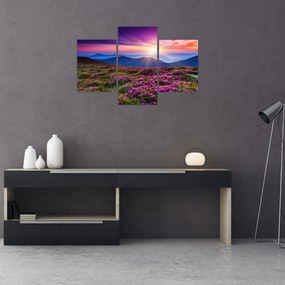 Obraz - Horská rozkvitnutá krajina (90x60 cm)