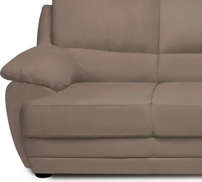 Dvojsedák Nebolo, sivo-hnedá látka