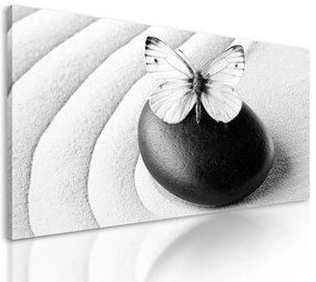 Obraz nádherný biely motýľ na Zen kameni v čiernobielom prevedení