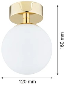 Argon 4004 - Kúpeľňové stropné svietidlo FLAVIO 1xE14/7W/230V IP44