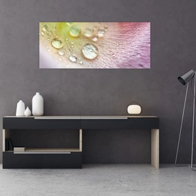 Obraz - Kvapky rosy (120x50 cm)