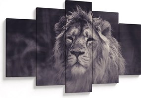 Obraz leva (150x105 cm)