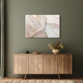Obraz - Béžové listy (90x60 cm)