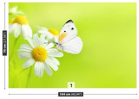 Fototapeta Vliesová Motýľ a harmanček 152x104 cm