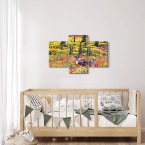 Obraz - Karibu na Aljaške (90x60 cm)