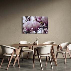 Obraz - Magnolie (90x60 cm)