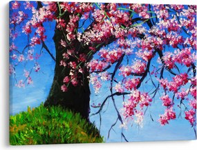 Obraz maľované rozkvitnuté čerešne (70x50 cm)